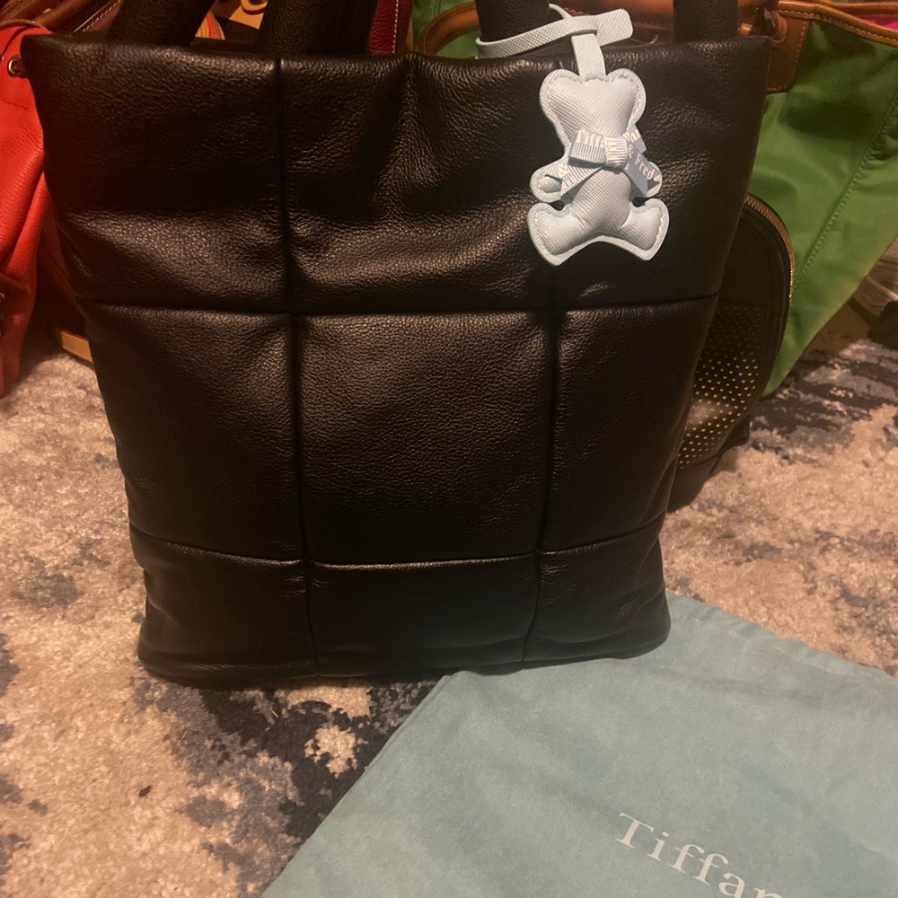 New Bag. Used once Tiffany and Fred